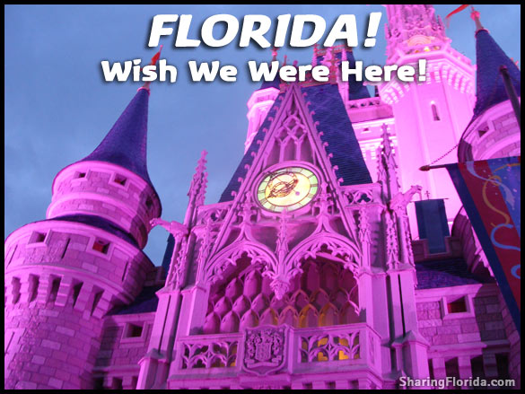 magic kingdom castle florida. Disney World Magic Kingdom