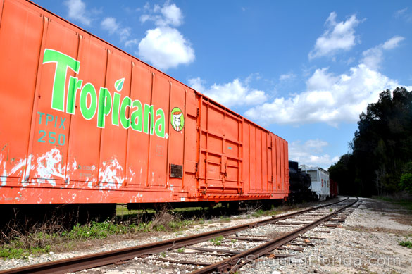 Picture of the Tropicana Orange Train
