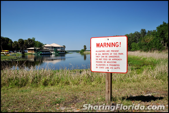 Alligator Warning Sign in Florida